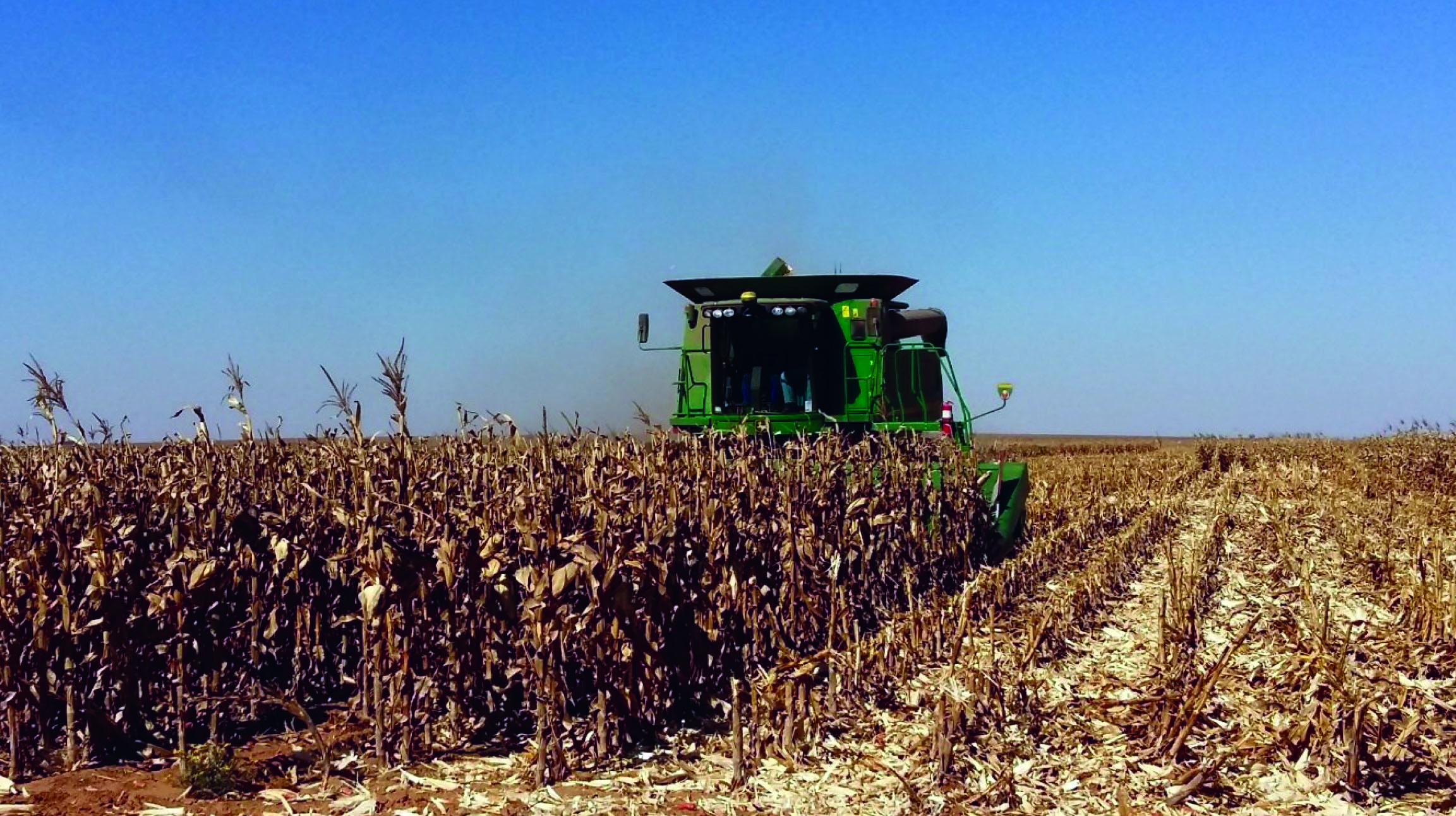 Maize was replaced by a cover crop in year seven (Rotation 1), and teff was replaced by maize in year eight (Rotation 1).