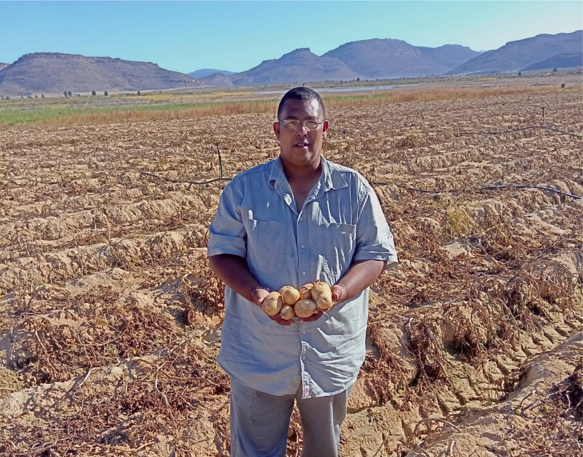 Bradley Jeena leads Geena Farming in the Western Cape. The EDP’s support for Jeena includes plans to scale potato production over the next four years.