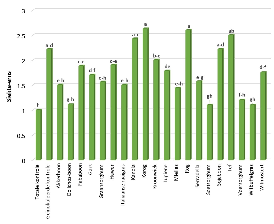 Die siekte-erns veroorsaak deur die verskillende groenbemestinggewasse
tydens die tweede proef. Die statistiese verskille word deur die
alfabetiese letters aangedui.