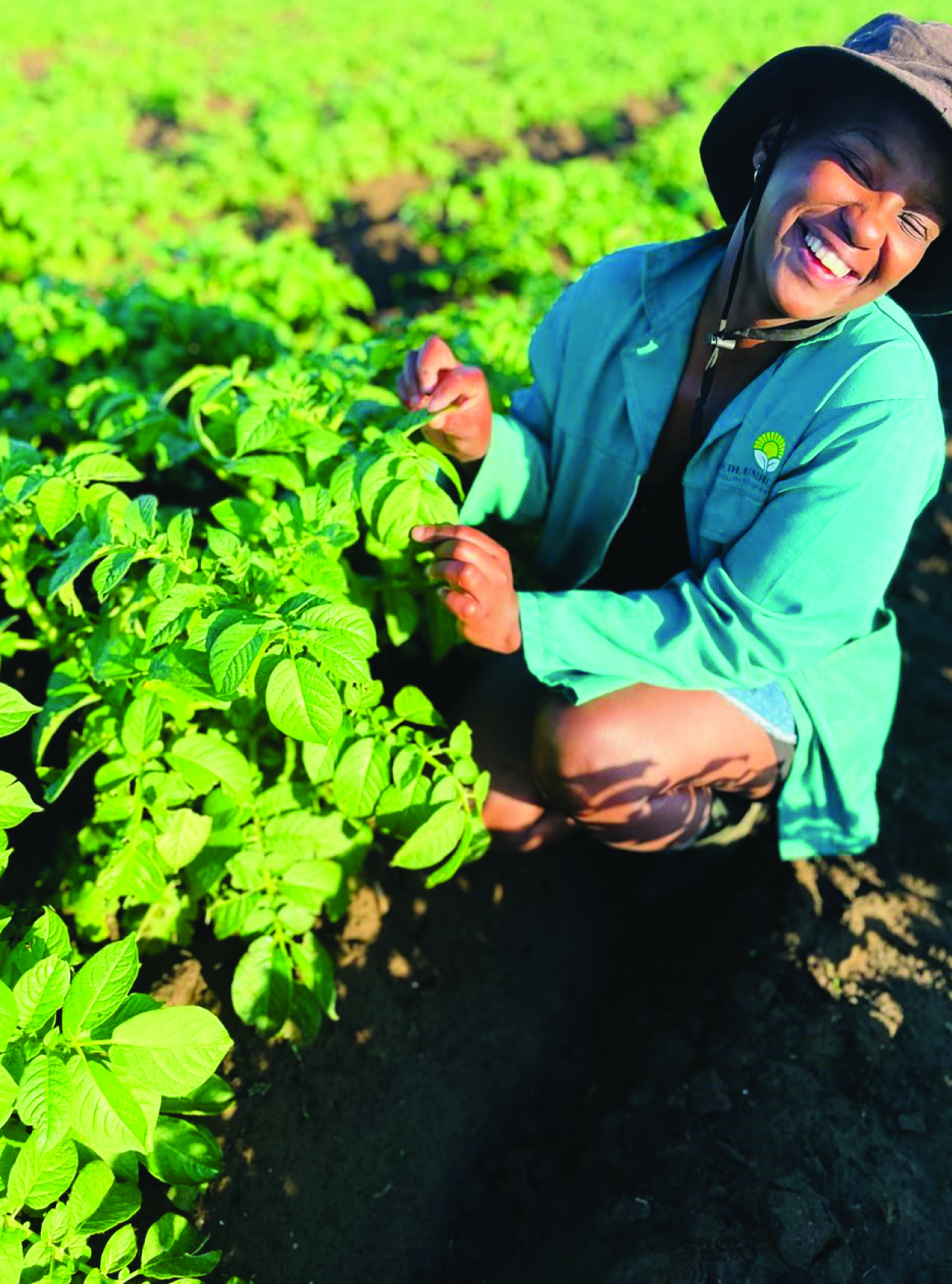 Nosipho Vuthela assessing her potato fields